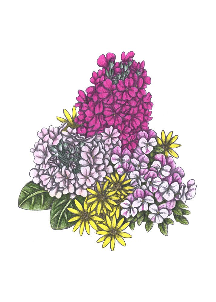 Vibrant Floral Bouquet art print by Cecilia Battaini for $57.95 CAD