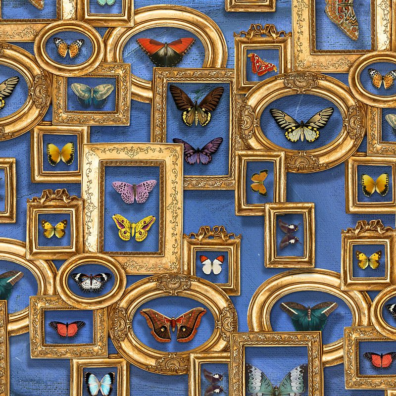 Butterflies in Gold Frames art print by Marja van den Hurk for $57.95 CAD