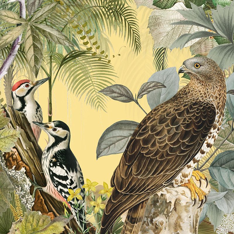 Tropical Jungle Birds art print by Marja van den Hurk for $57.95 CAD