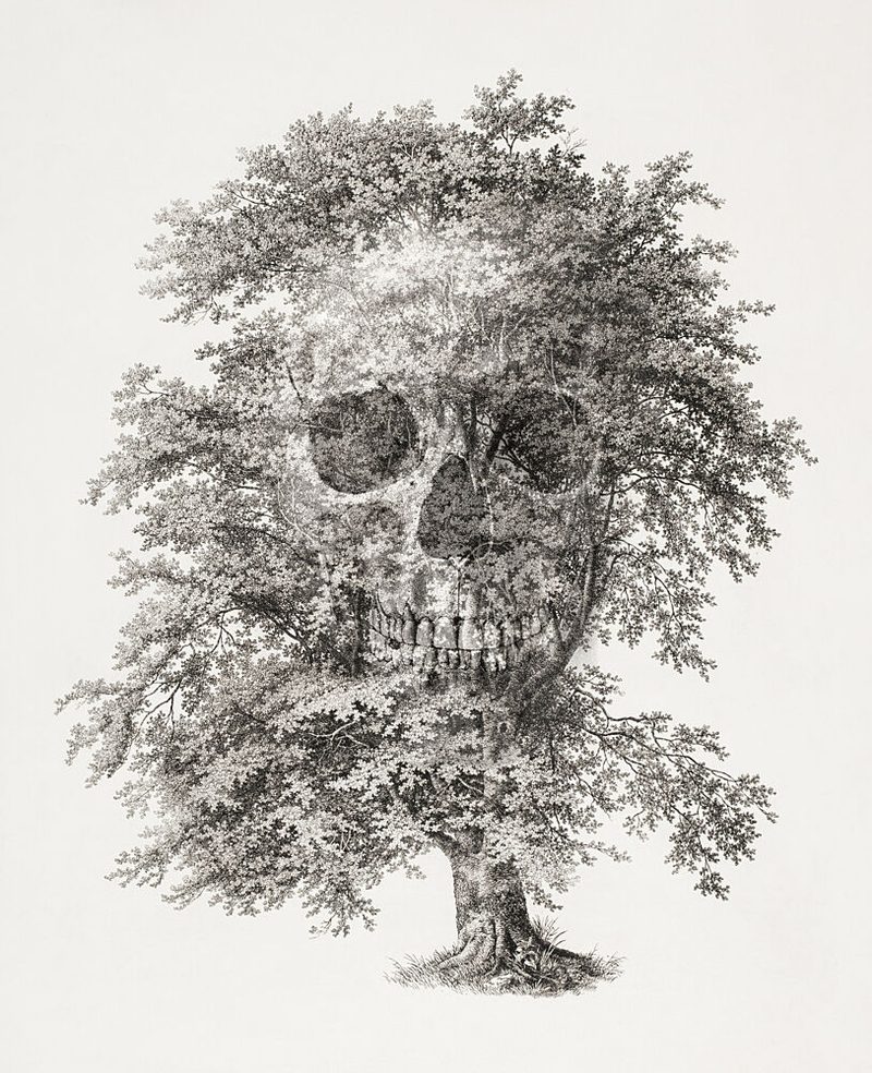 Natures Skull Tree art print by Marja van den Hurk for $57.95 CAD