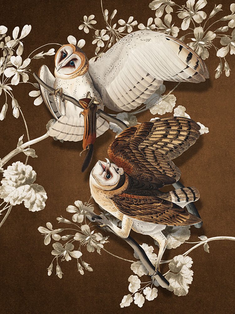 Elegant Barn Owls art print by Marja van den Hurk for $57.95 CAD