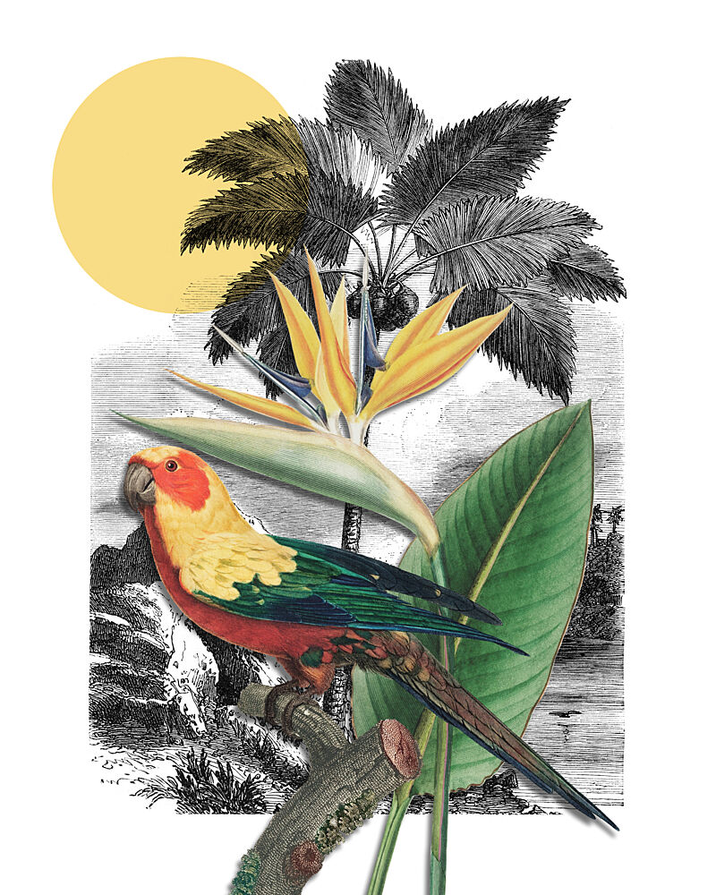 Tropical Parrot Paradise art print by Marja van den Hurk for $57.95 CAD