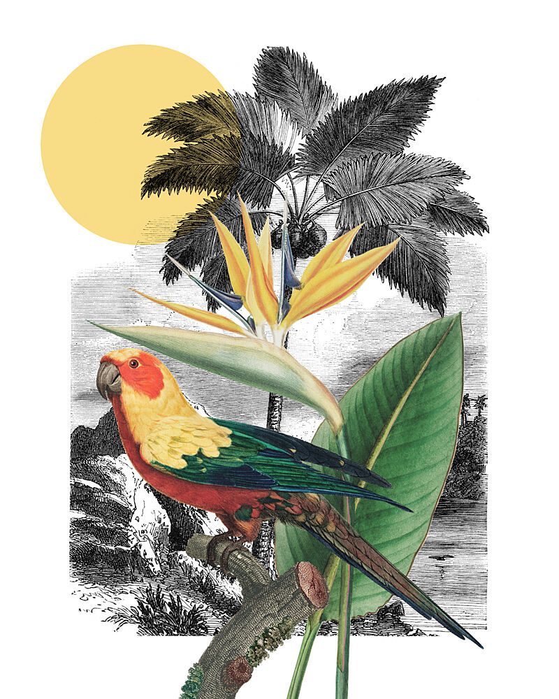 A Tropical Collage art print by Marja van den Hurk for $57.95 CAD