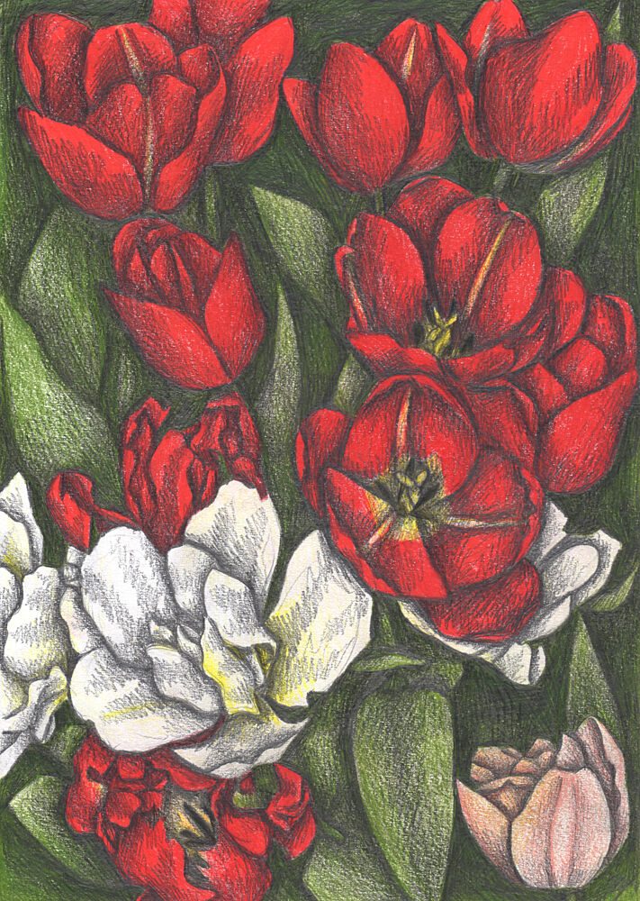 Colorful Garden Tulips art print by Cecilia Battaini for $57.95 CAD