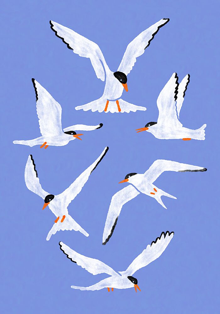 White Seabirds Flying art print by Martina Scott for $57.95 CAD