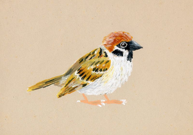 Little Brown Sparrow art print by Martina Scott for $57.95 CAD