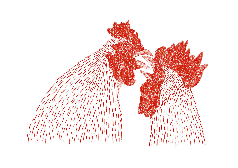 Fighting Roosters art print by Martina Scott for $57.95 CAD