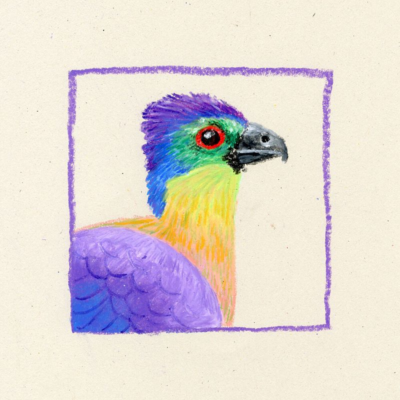 Vibrant Colorful Bird art print by Martina Scott for $57.95 CAD