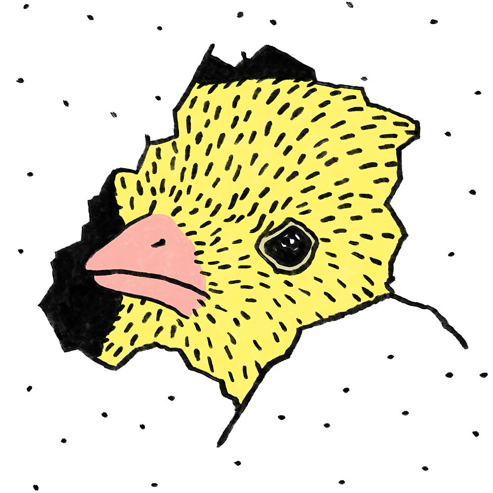 Hatching Yellow Chick art print by Martina Scott for $57.95 CAD