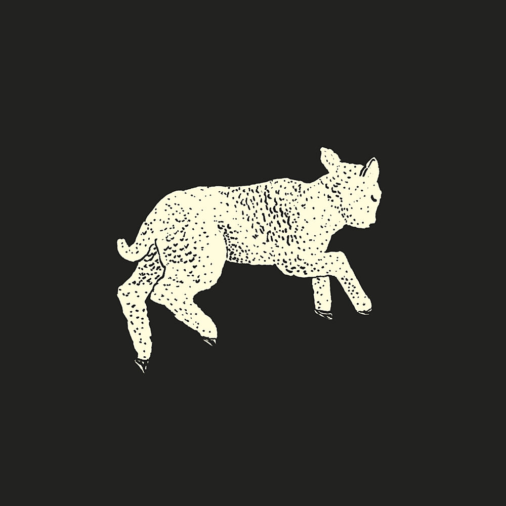 Playful Baby Lamb art print by Martina Scott for $57.95 CAD