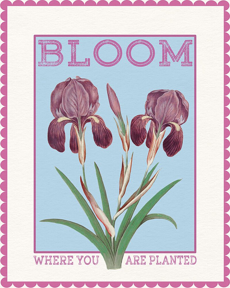 Purple Irises Bloom Quote art print by Wild Violets for $57.95 CAD