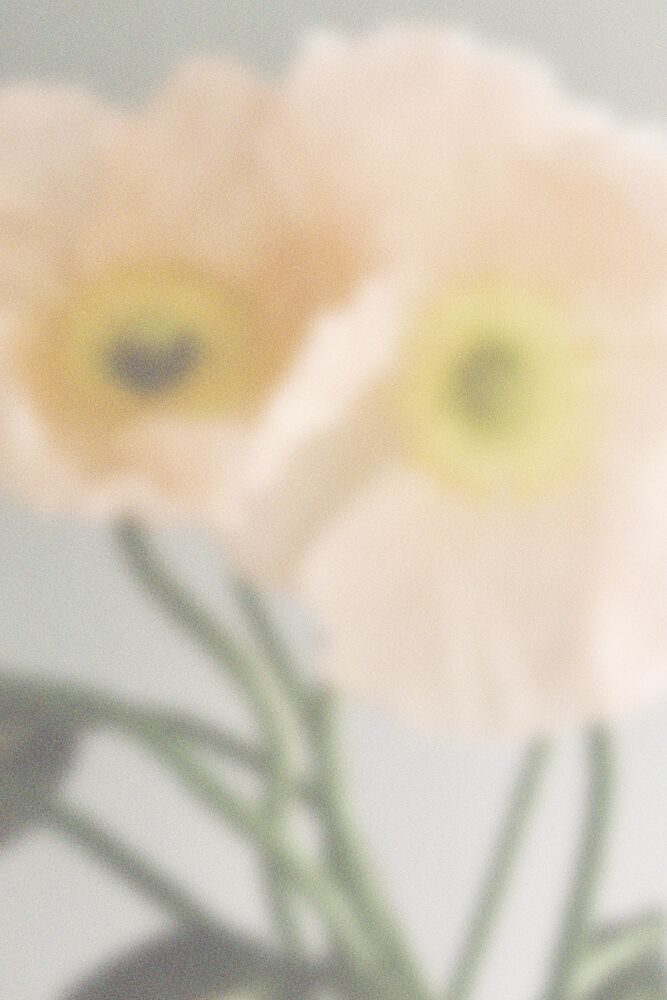 Soft Pastel Flowers art print by Frida Floral Studio for $57.95 CAD