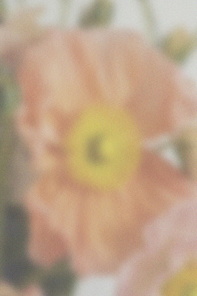 Soft Focus Bloom art print by Frida Floral Studio for $57.95 CAD