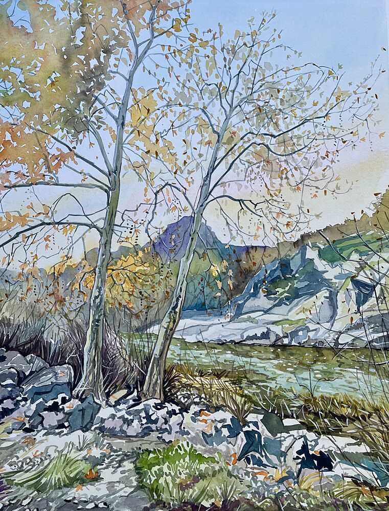 Tranquil Autumn River art print by Luisa Millicent for $57.95 CAD