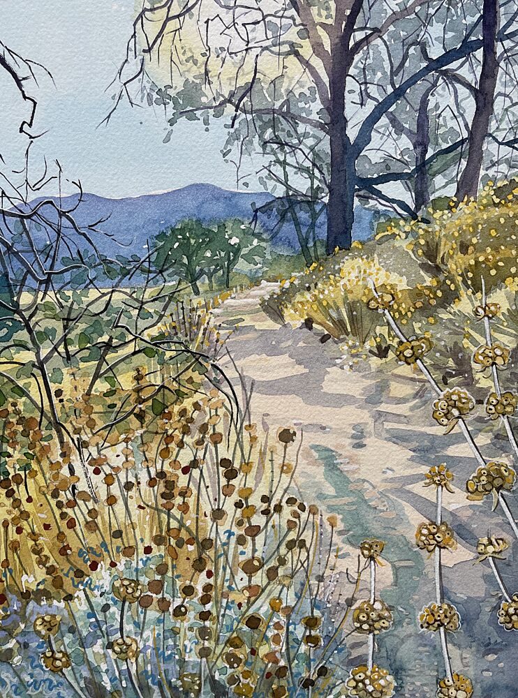 Tranquil Nature Trail art print by Luisa Millicent for $57.95 CAD