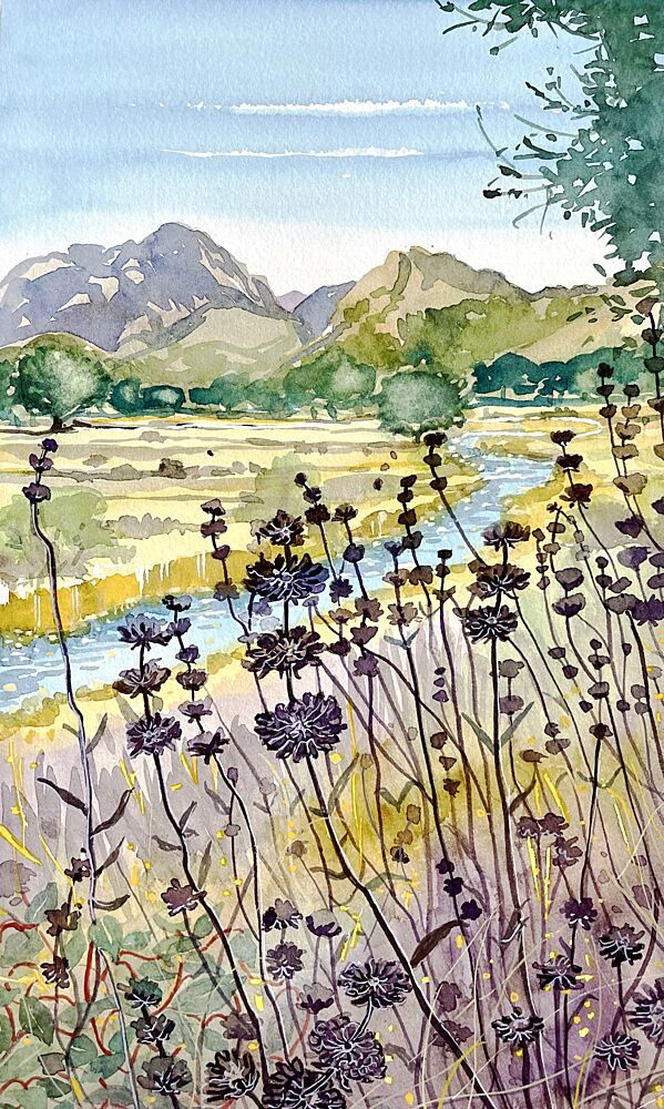 Mountain River Wildflowers art print by Luisa Millicent for $57.95 CAD