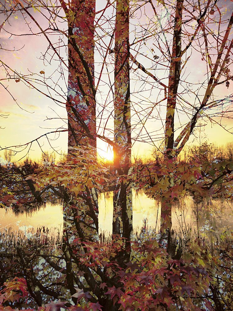 Golden Hour Autumn Reflection art print by Angelo Cerantola for $57.95 CAD