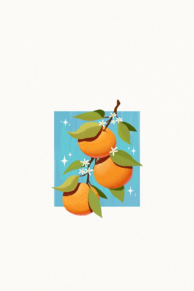 Fresh Orange Branch art print by Xuan Thai for $57.95 CAD