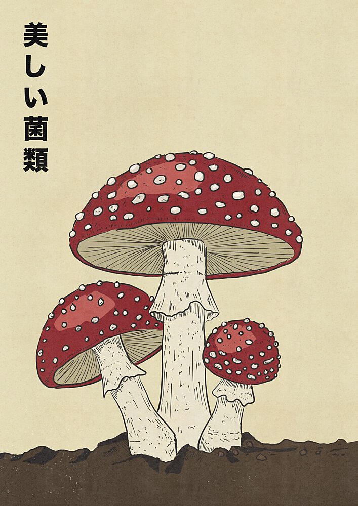 Red Fly Agaric Fungi art print by Nicholas for $57.95 CAD