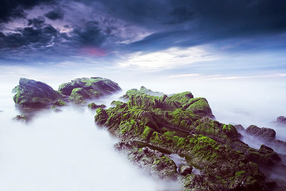 Green Loneliness art print by Nuno Araujo for $57.95 CAD