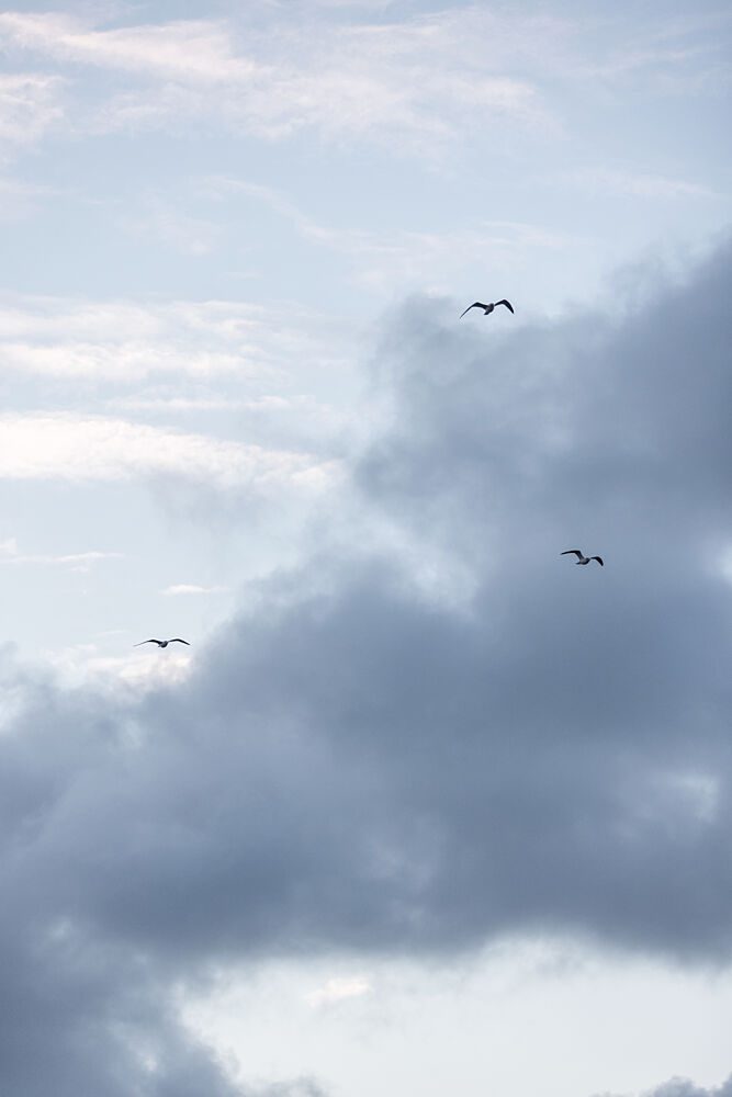 Flying High 11 art print by Mareike Bohmer for $57.95 CAD