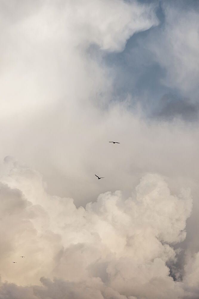 Flying High 14 art print by Mareike Bohmer for $57.95 CAD