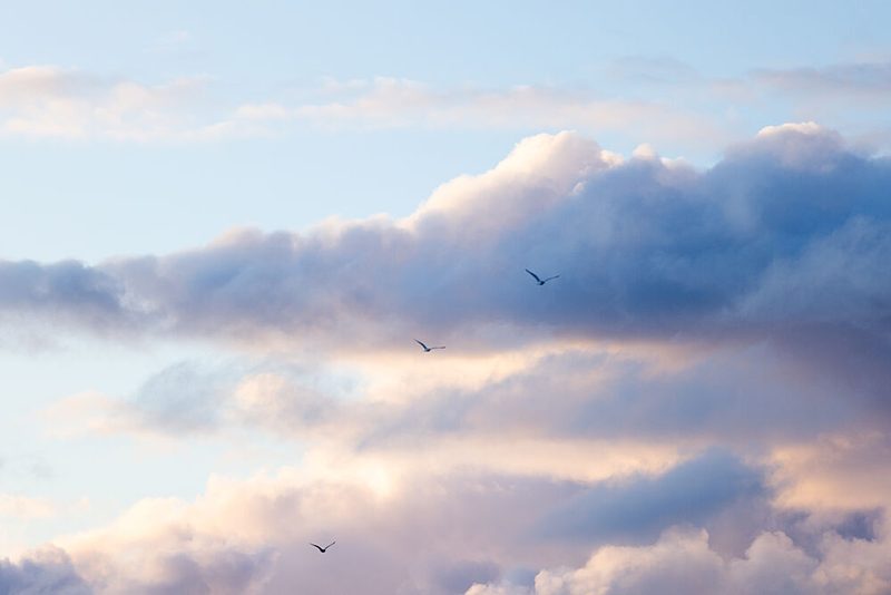 Flying High 12 art print by Mareike Bohmer for $57.95 CAD