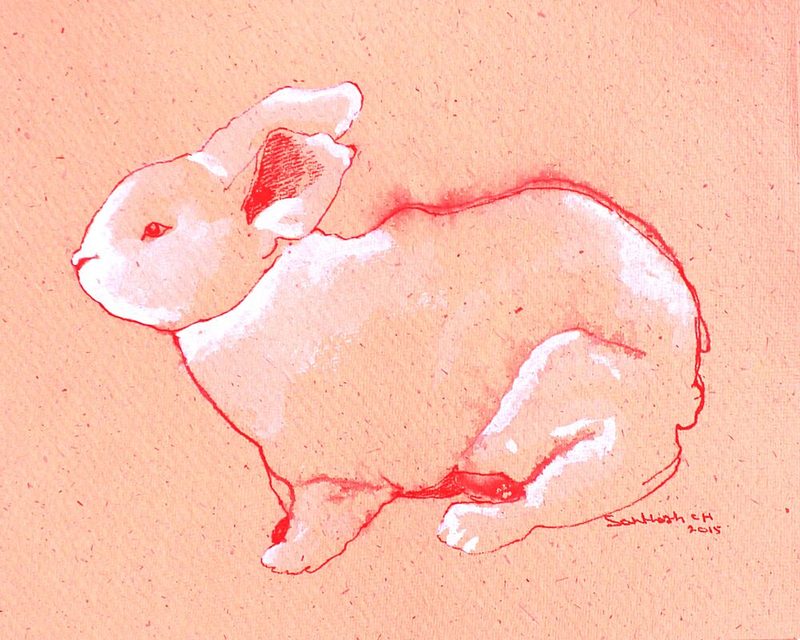 Sweet Little Rabbit art print by Santhosh Ch for $57.95 CAD