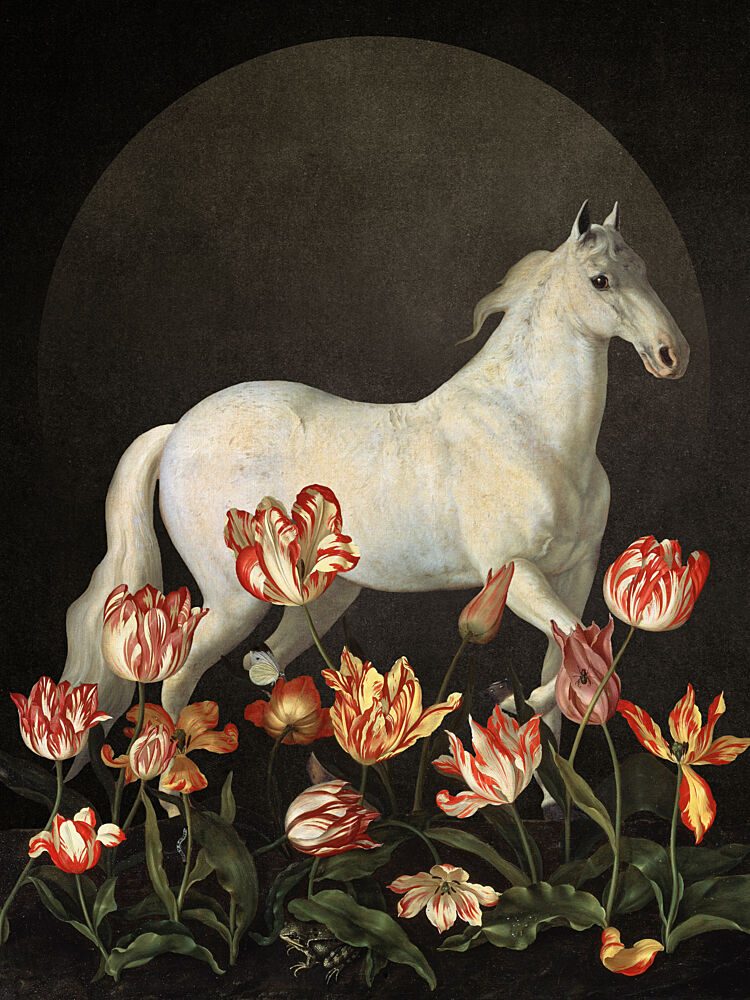White Horse in Bloom art print by Marja van den Hurk for $57.95 CAD