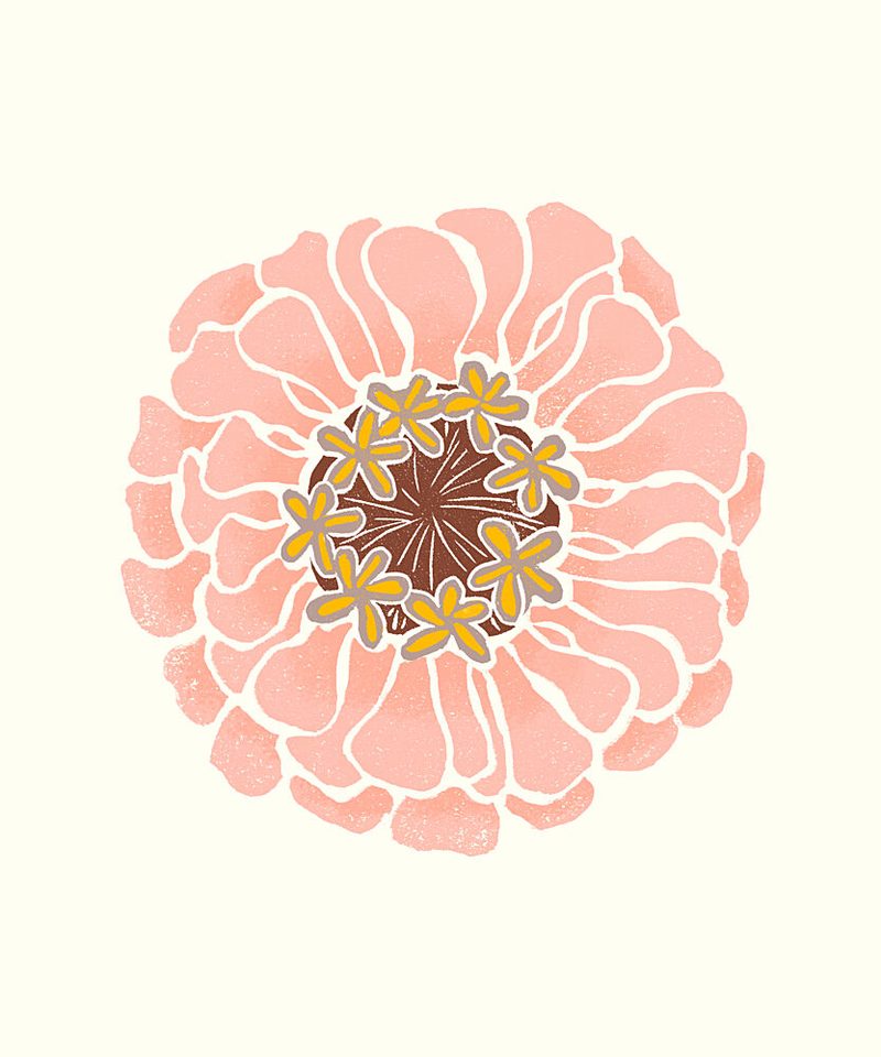 Pink Zinnia Bloom art print by Melissa McKeagney for $57.95 CAD