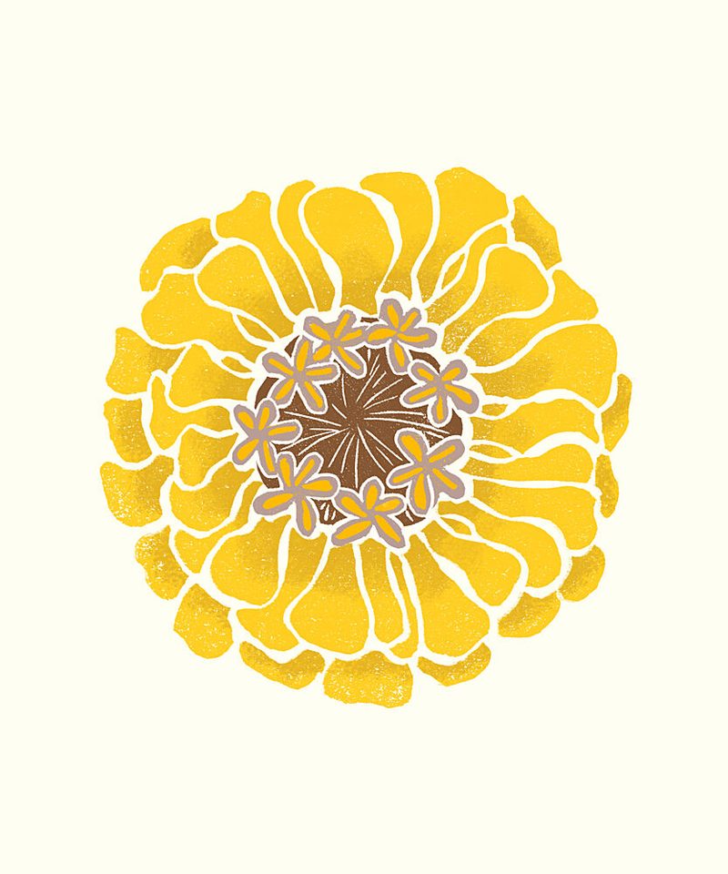 Sunny Yellow Bloom art print by Melissa McKeagney for $57.95 CAD