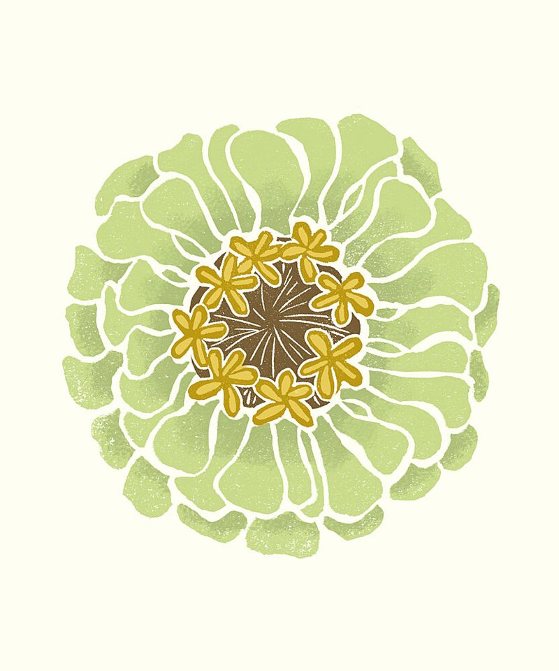 Fresh Green Zinnia art print by Melissa McKeagney for $57.95 CAD