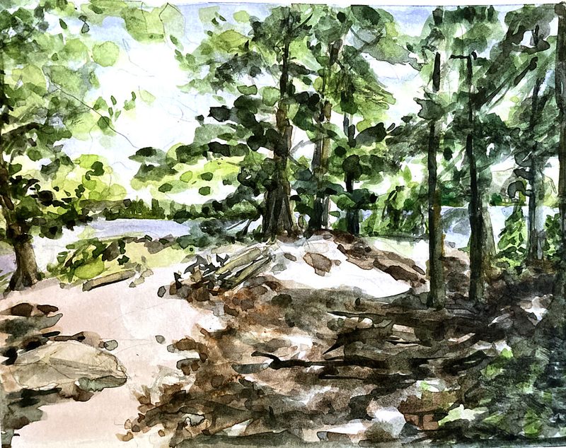 Sunlit Woodland Path art print by Amy Barnhart for $57.95 CAD
