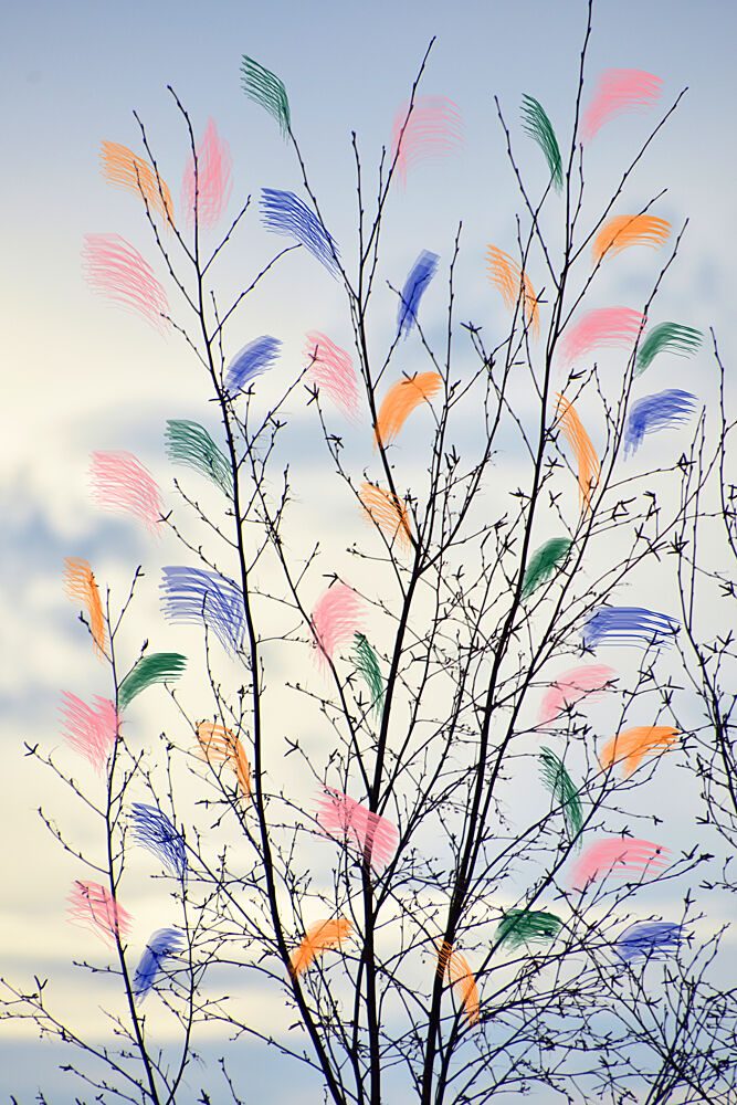 Colorful Spring Branches art print by Christina Sillen for $57.95 CAD
