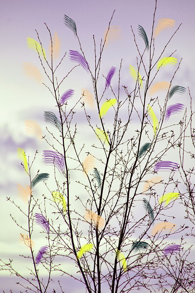 Colorful Spring Branches art print by Christina Sillen for $57.95 CAD