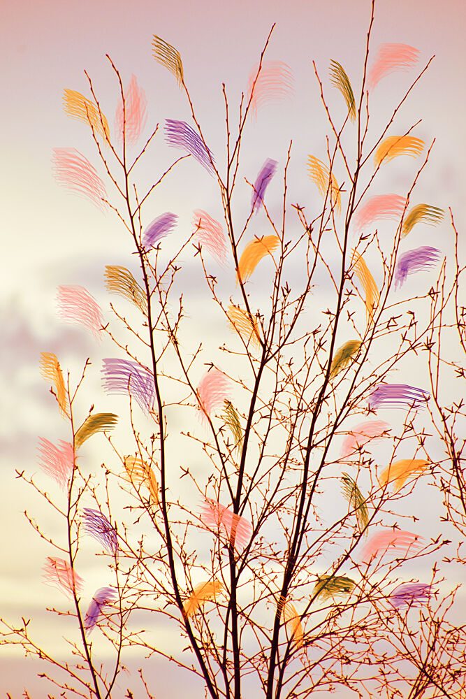 Whimsical Spring Branches art print by Christina Sillen for $57.95 CAD