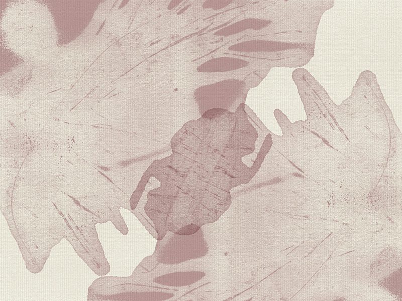 Muted Organic Shapes art print by Dina Dankers for $57.95 CAD