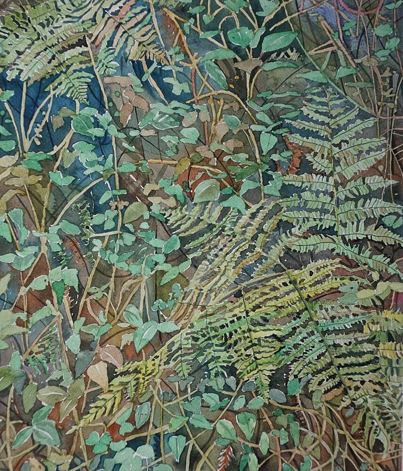 Lush Forest Ferns art print by Luisa Millicent for $57.95 CAD