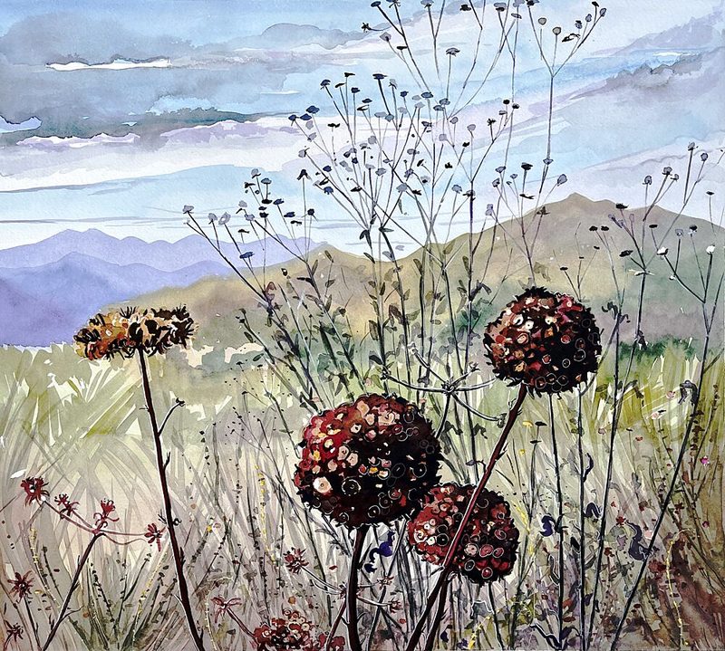 Wildflowers and Mountains art print by Luisa Millicent for $57.95 CAD