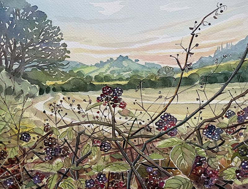 Ripe Blackberries Landscape art print by Luisa Millicent for $57.95 CAD