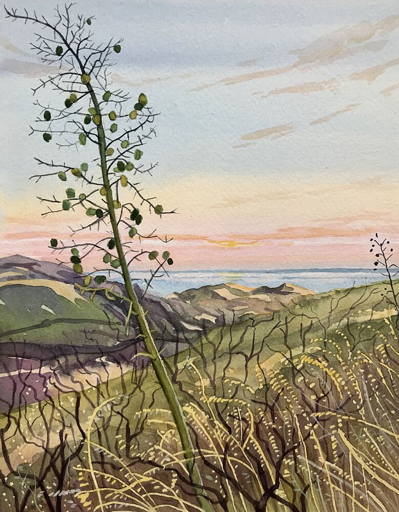 Coastal Plant Sunset View art print by Luisa Millicent for $57.95 CAD