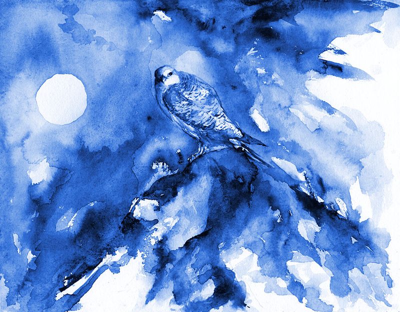 Moonlit Blue Falcon art print by RodMacIver for $57.95 CAD