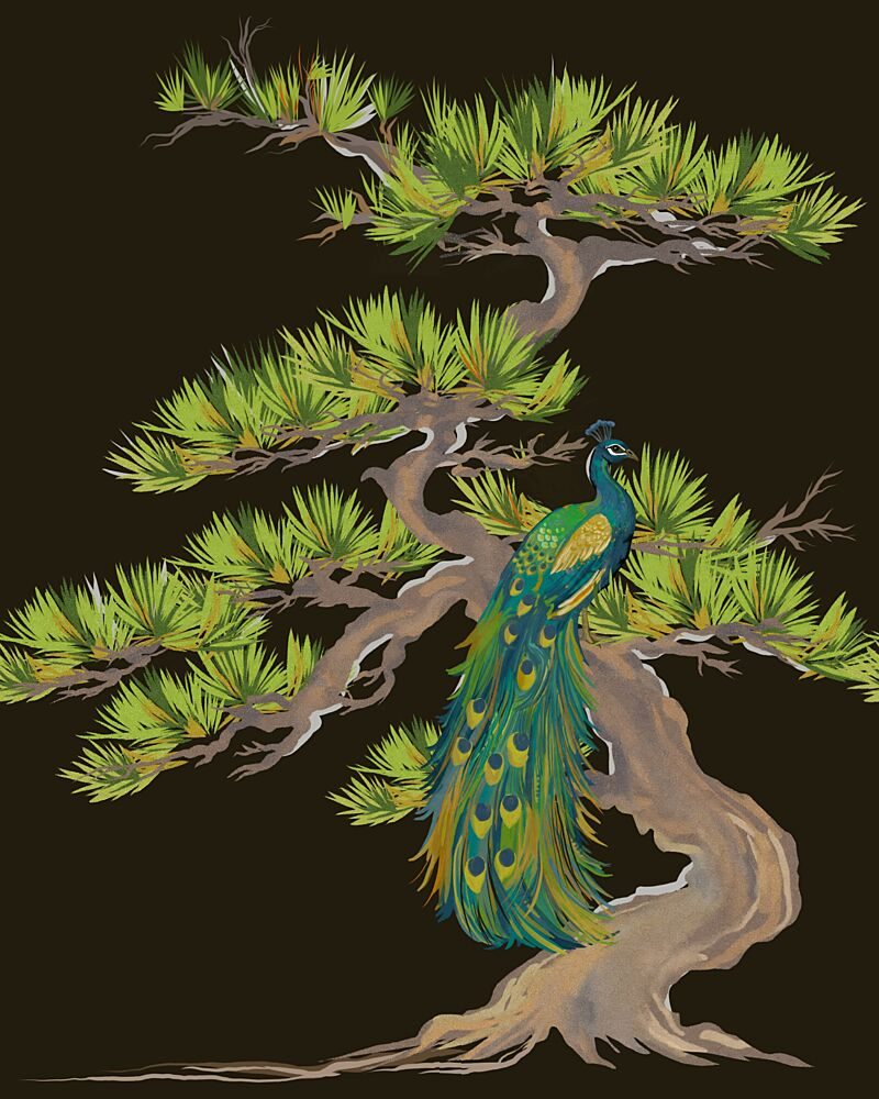 Peacock on Pine Branch art print by Josie George for $57.95 CAD