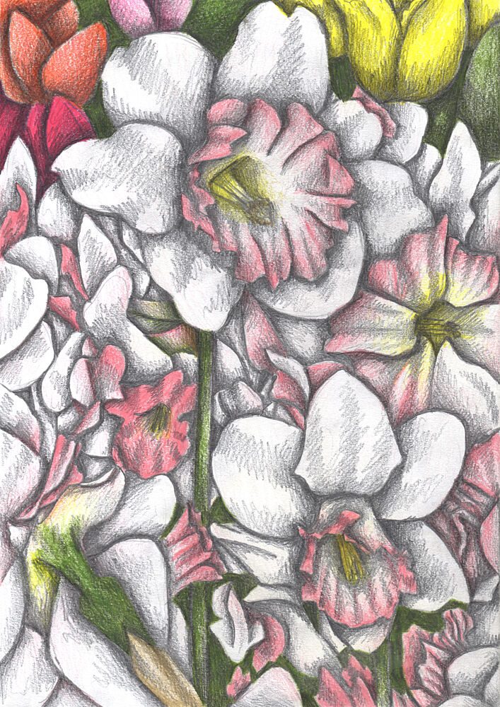 Vibrant Garden Blooms art print by Cecilia Battaini for $57.95 CAD