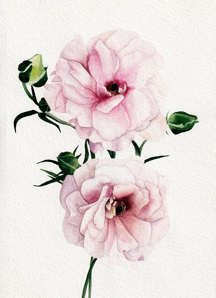 Pink Watercolor Blooms art print by Salome for $57.95 CAD