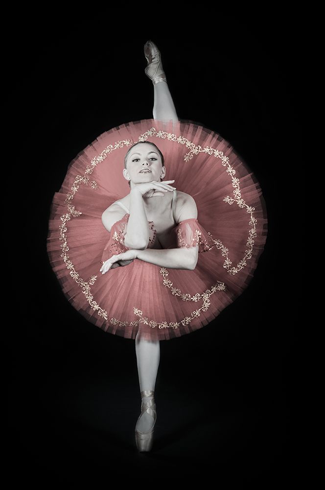 On Pointe art print by Darlene Hewson for $57.95 CAD