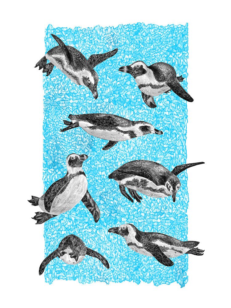 Underwater Penguins art print by Martina Scott for $57.95 CAD