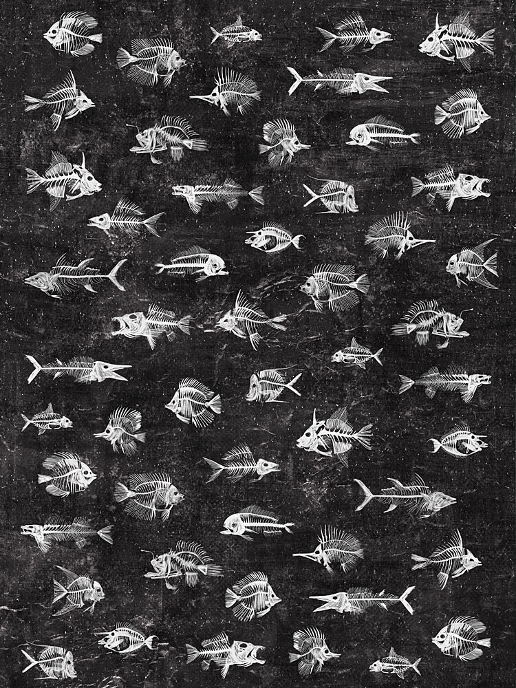 Fish Skeletons Collection art print by Martina Scott for $57.95 CAD