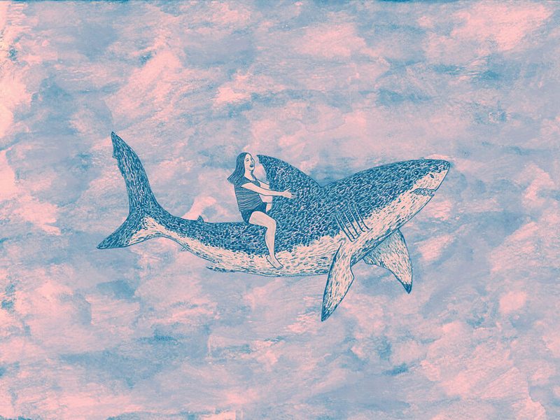 Sky Shark Rider art print by Martina Scott for $57.95 CAD
