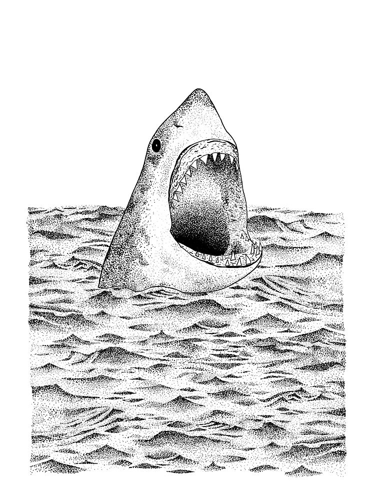 Great White Shark Ocean art print by Martina Scott for $57.95 CAD